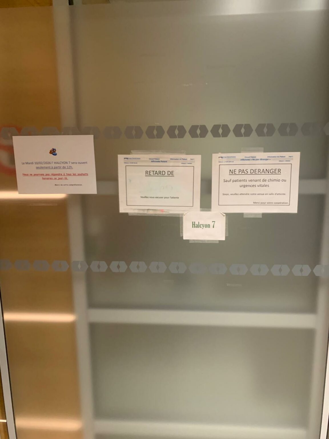 WhatsApp Image 2026-02-16 at 17.38.50